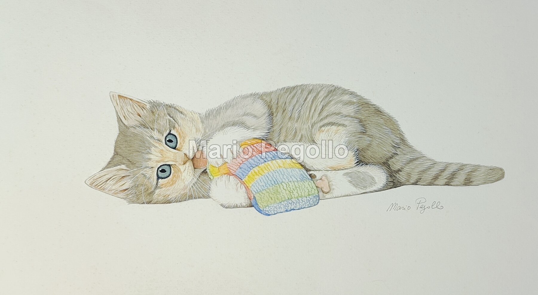 Animal illustration 06