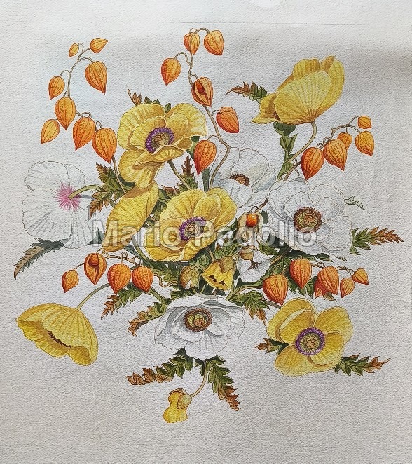 Flower illustration 08