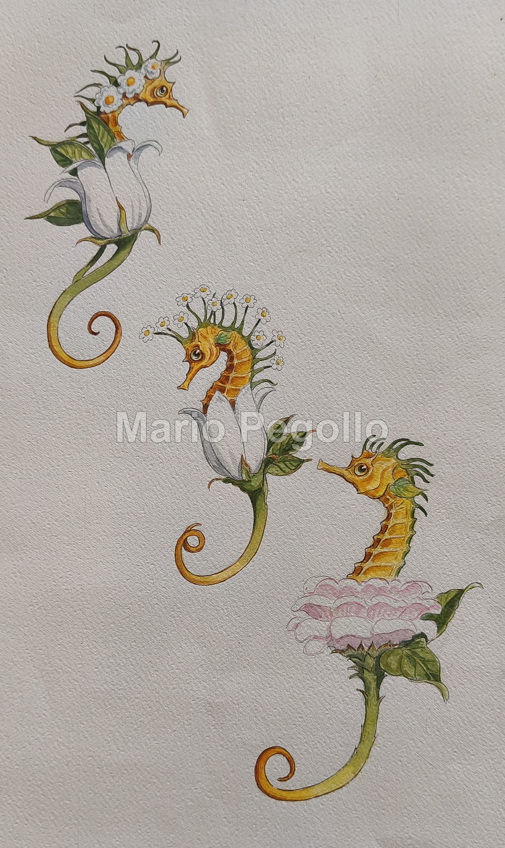 Flower illustration 14