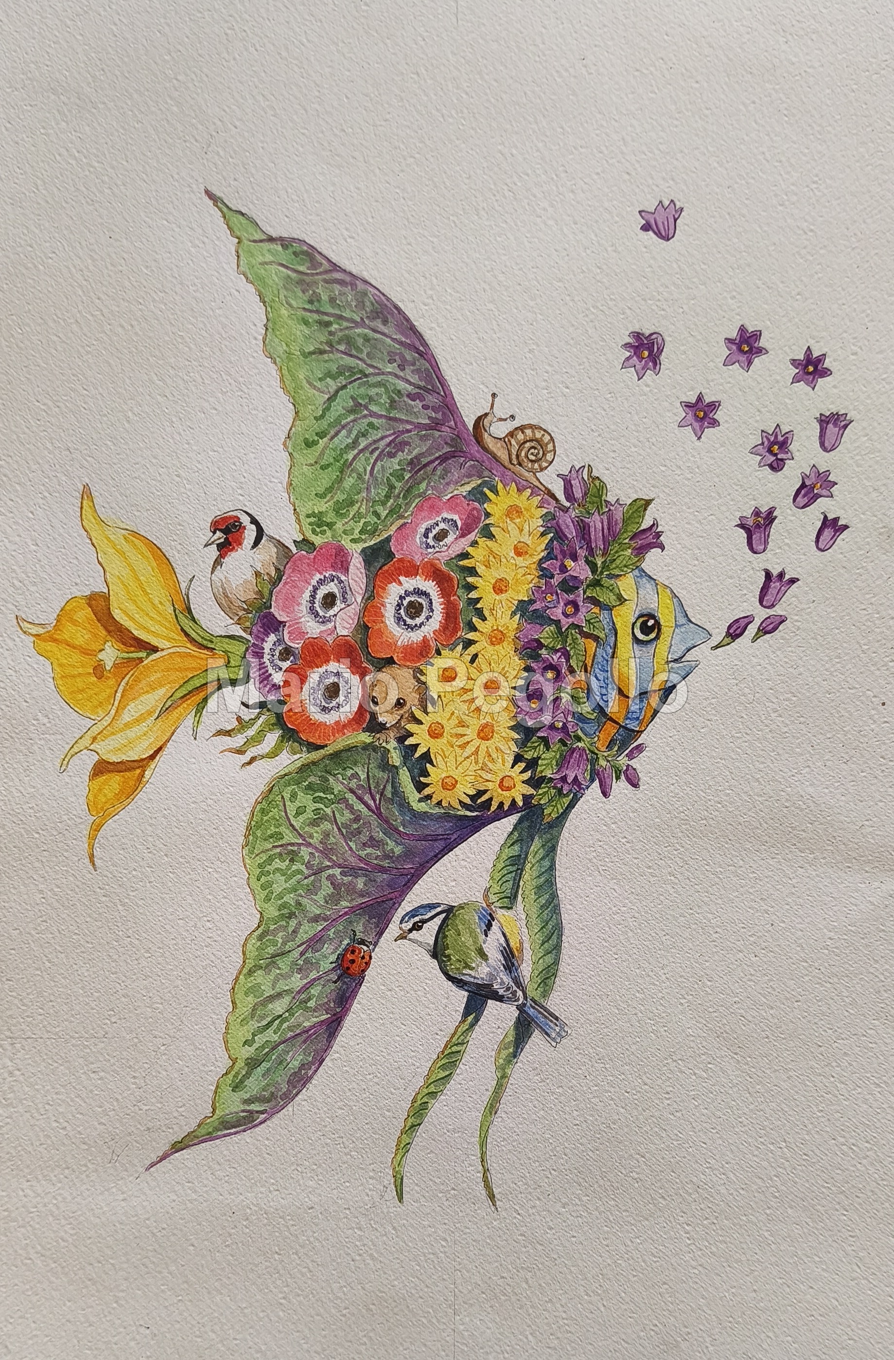 Flower illustration 15