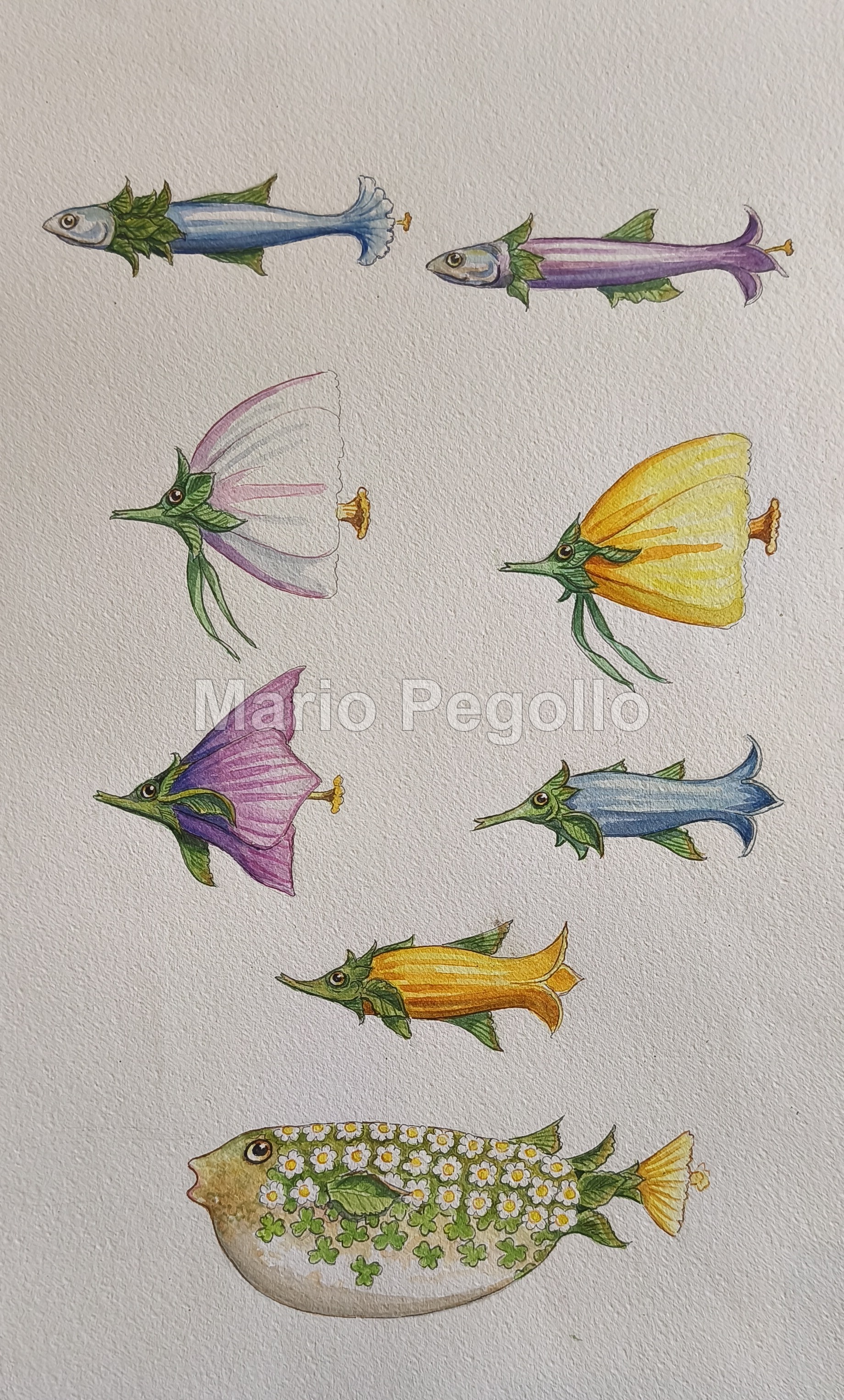 Flower illustration 16
