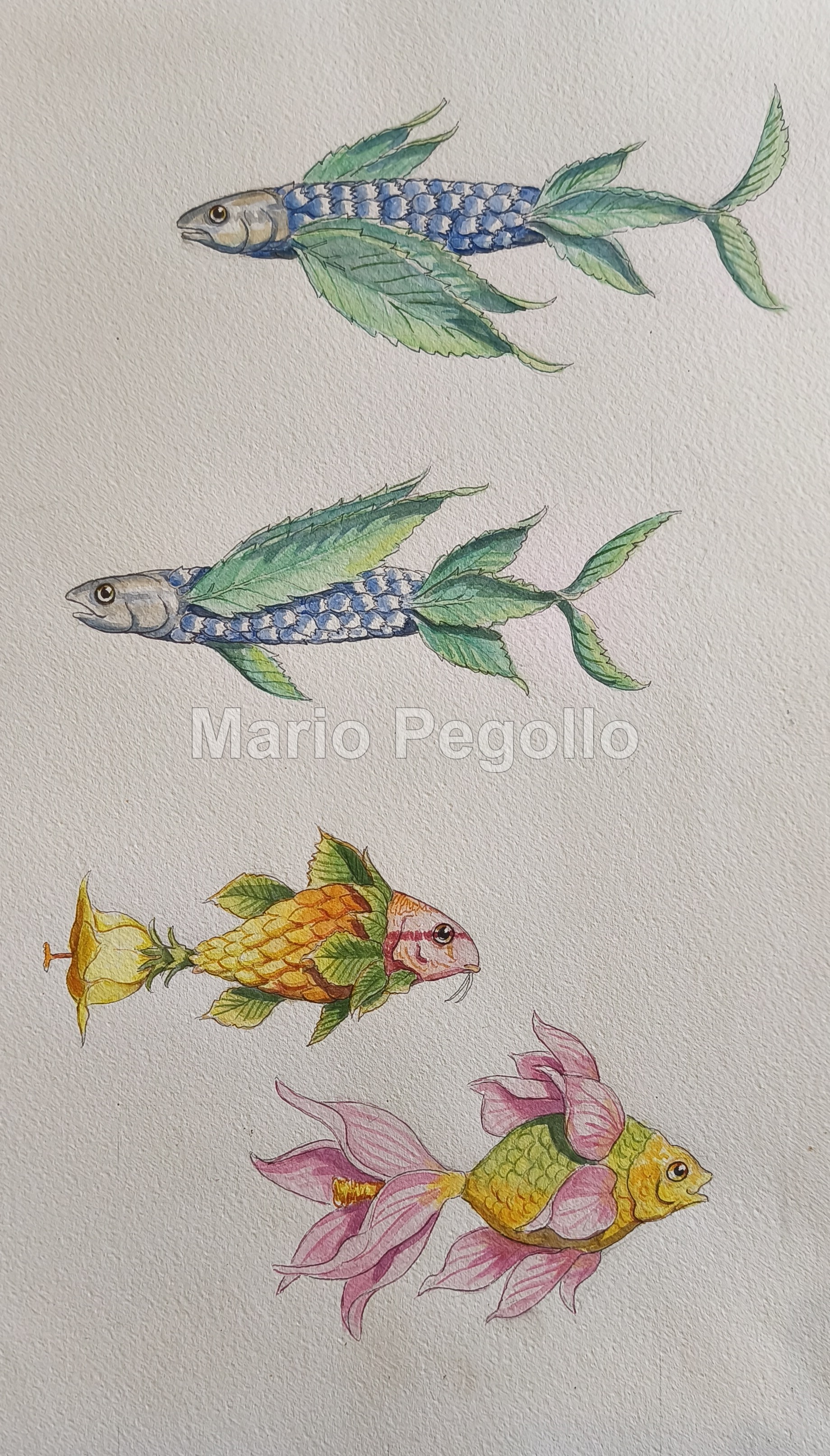 Flower illustration 17