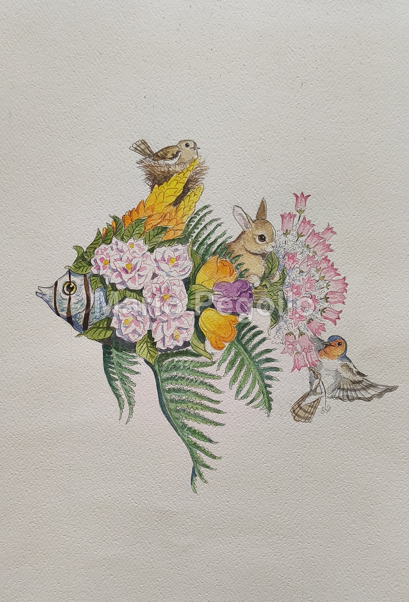 Flower illustration 18