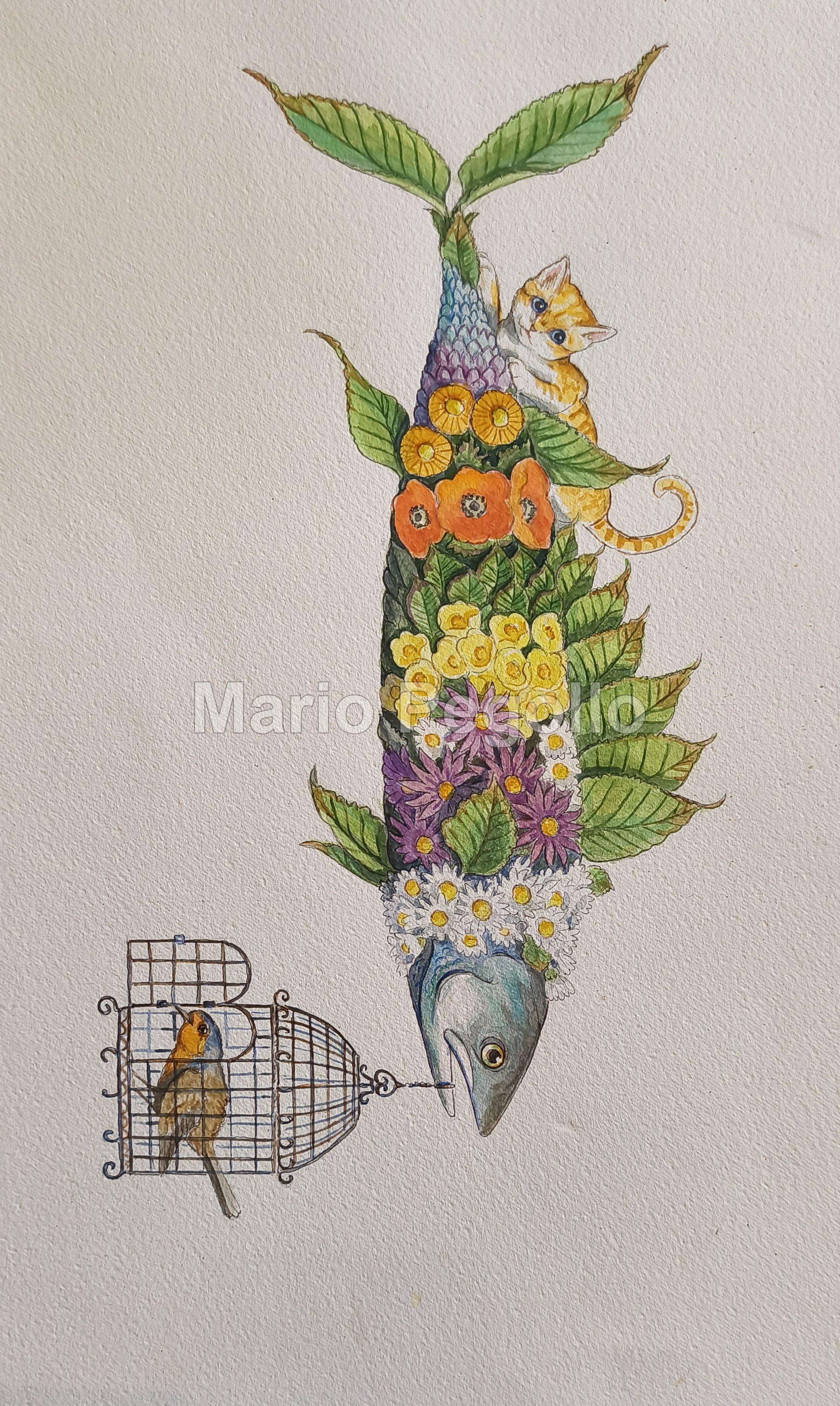 Flower illustration 19