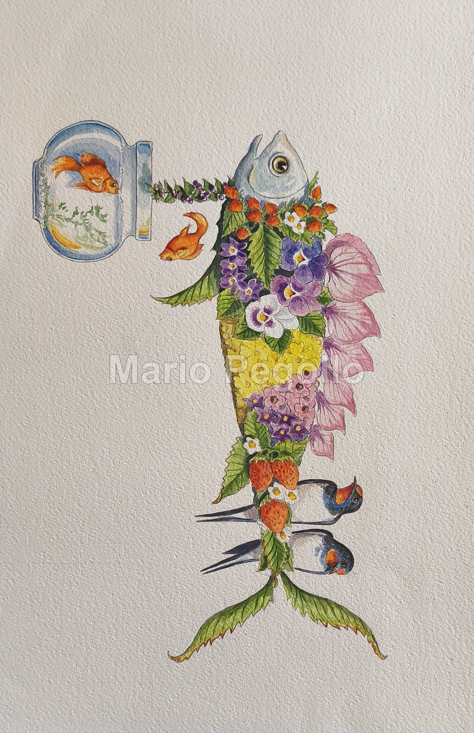 Flower illustration 20