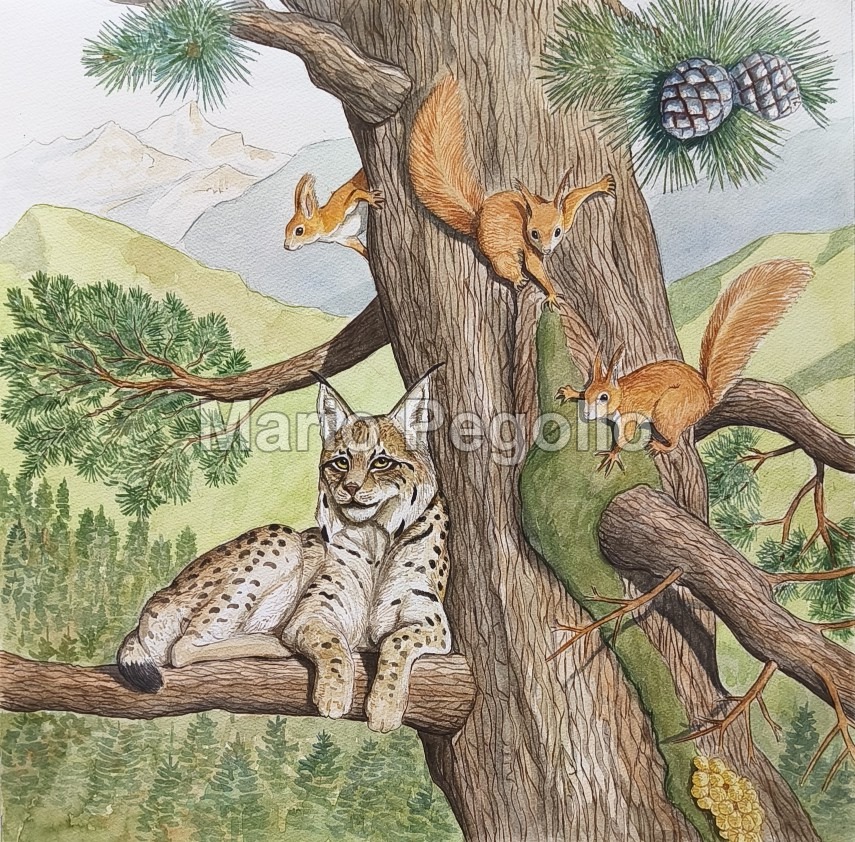 Nature illustration 07