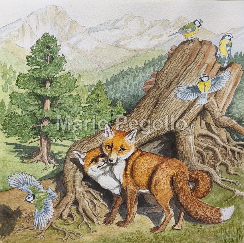 Nature illustration 09