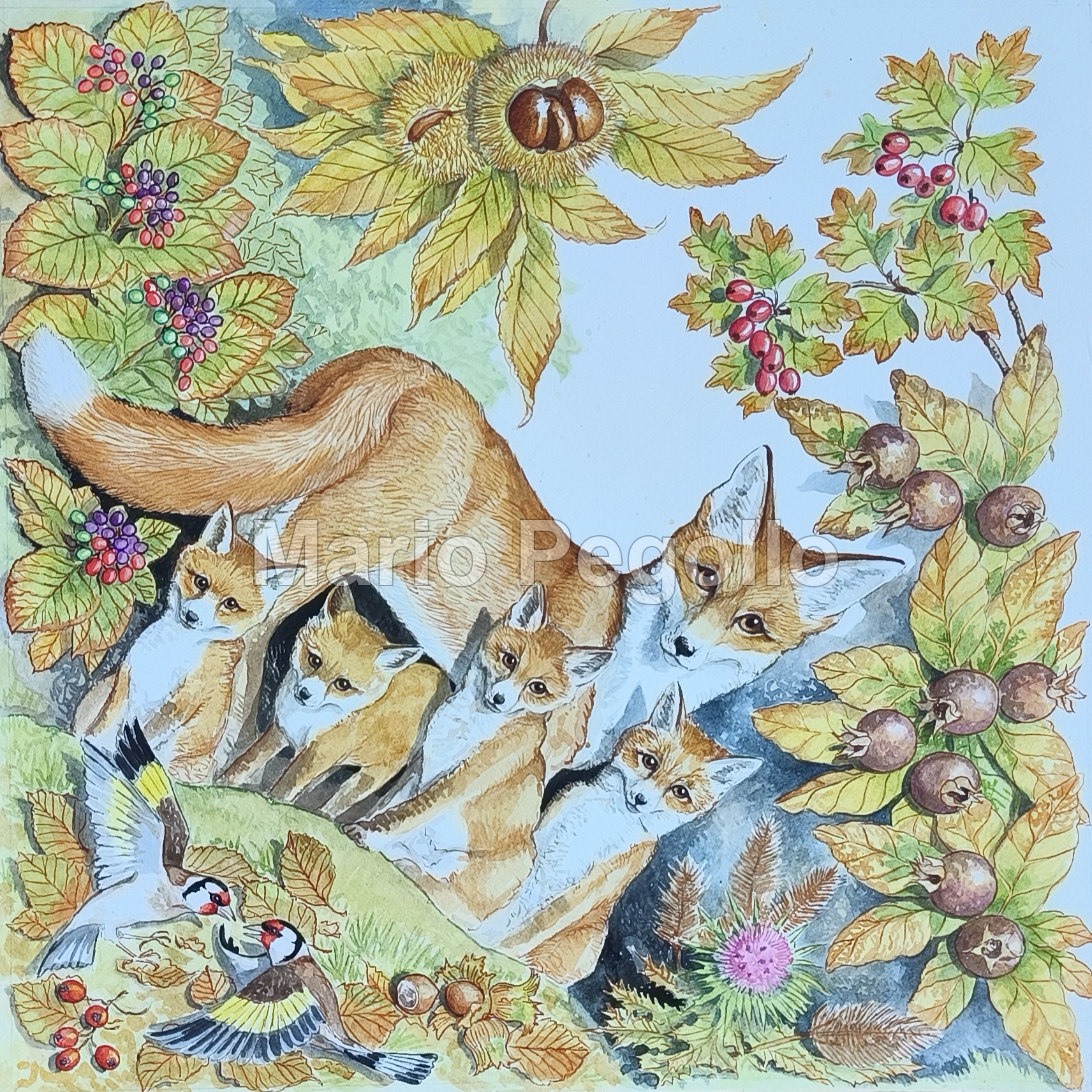 Nature illustration 10