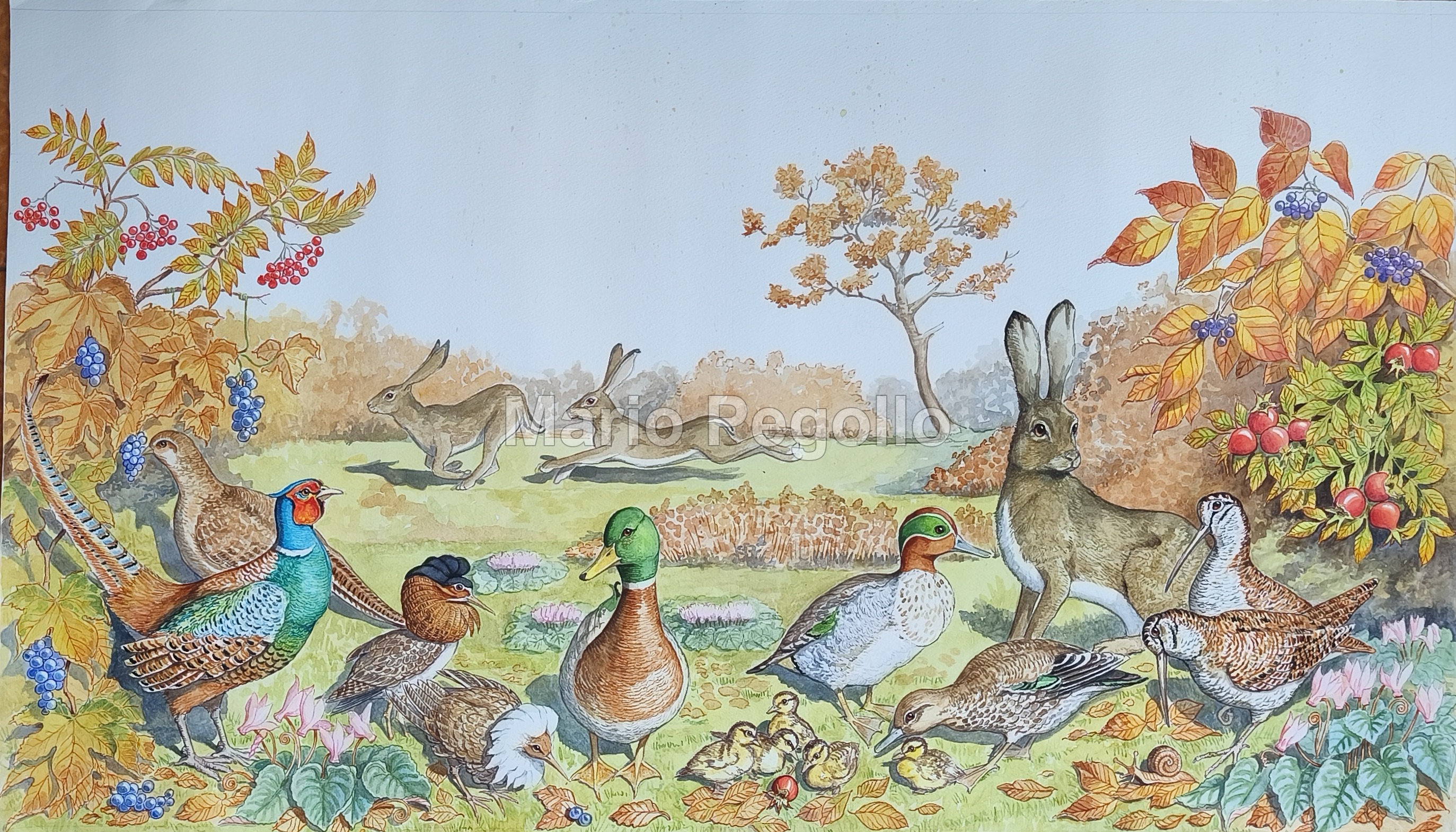 Nature illustration 12