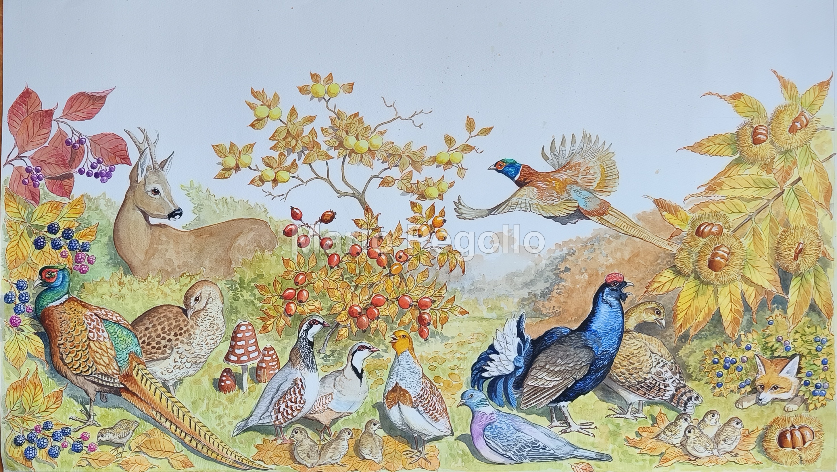 Nature illustration 13